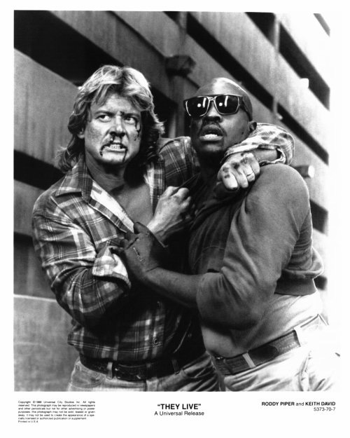 they_live_movie_picture001