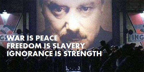 tumblr_lszr09Mlbf1r23fxco1_500